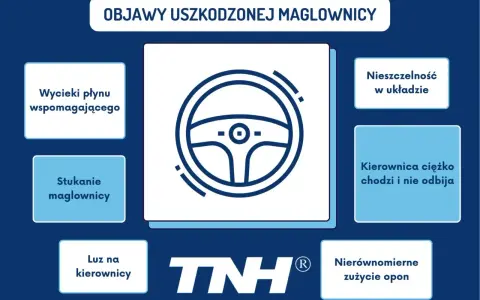 Grafika przedstawia ikonę kierownicy i listę objawów uszkodzonej maglownicy: wycieki płynu, stukanie, luz, nieszczelność, ciężka kierownica, nierównomierne zużycie opon.